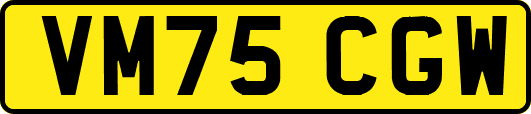 VM75CGW