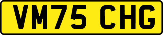 VM75CHG