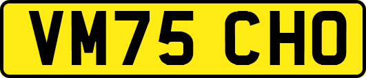 VM75CHO
