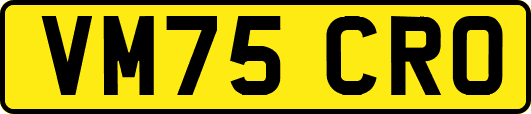 VM75CRO
