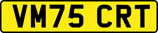 VM75CRT