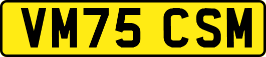 VM75CSM