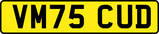 VM75CUD