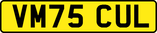 VM75CUL