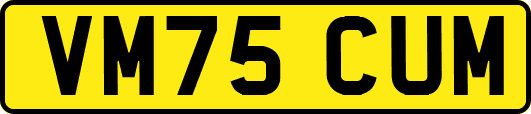 VM75CUM