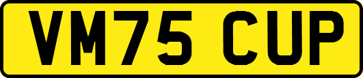 VM75CUP