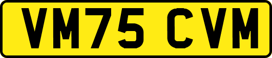VM75CVM