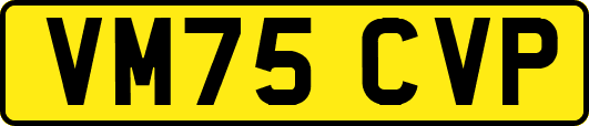 VM75CVP