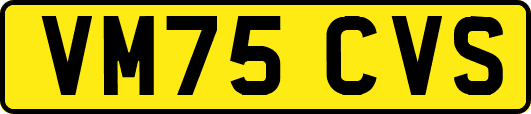 VM75CVS