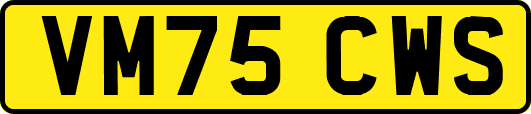 VM75CWS