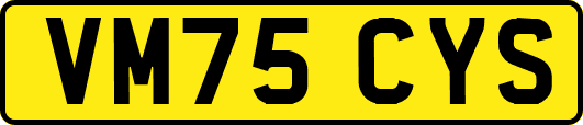 VM75CYS