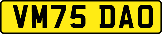 VM75DAO