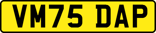 VM75DAP