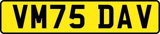 VM75DAV