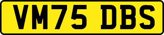 VM75DBS