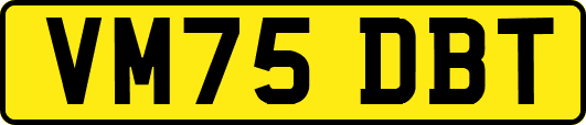 VM75DBT