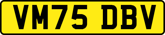 VM75DBV