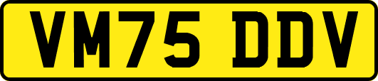 VM75DDV