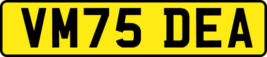 VM75DEA