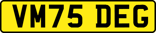 VM75DEG