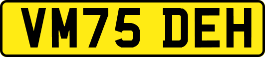 VM75DEH
