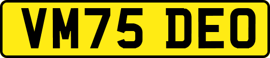 VM75DEO