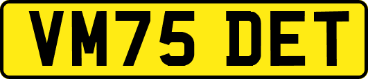 VM75DET