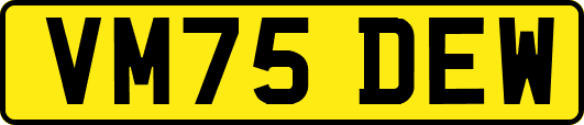 VM75DEW