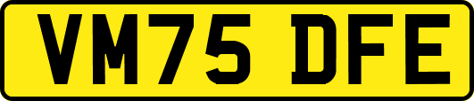VM75DFE