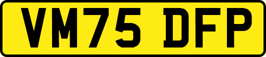 VM75DFP
