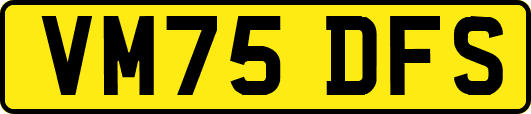 VM75DFS