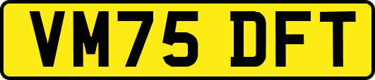 VM75DFT