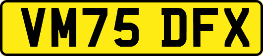 VM75DFX