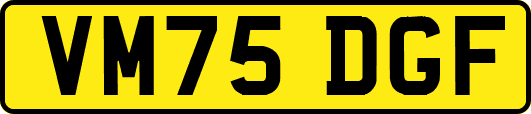 VM75DGF