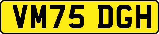 VM75DGH