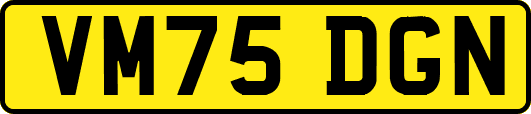 VM75DGN