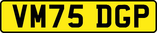 VM75DGP