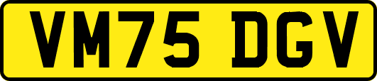VM75DGV