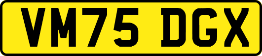 VM75DGX