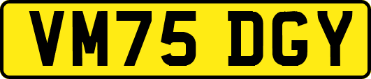 VM75DGY