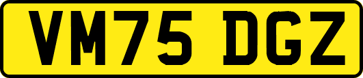 VM75DGZ