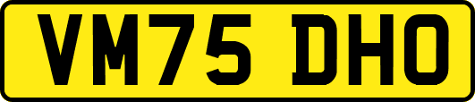 VM75DHO