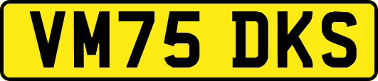 VM75DKS