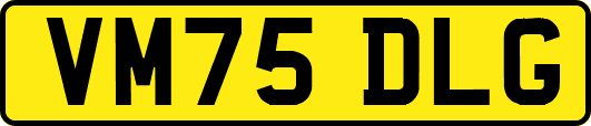VM75DLG