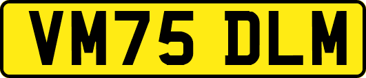 VM75DLM