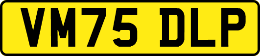 VM75DLP