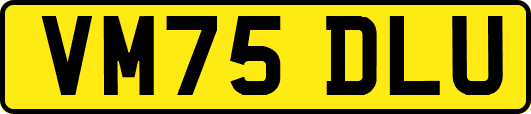 VM75DLU