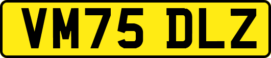 VM75DLZ