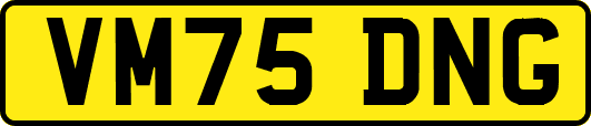 VM75DNG