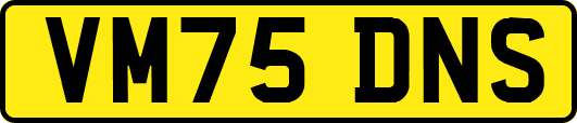 VM75DNS